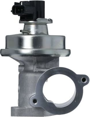 EGR Valve 703256