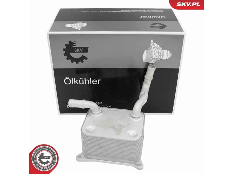 Oil Cooler, engine oil 31SKV323