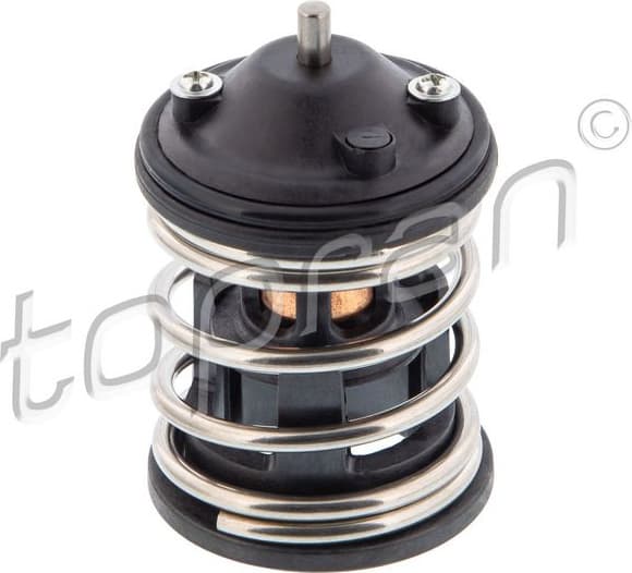 Thermostat, coolant 503 055