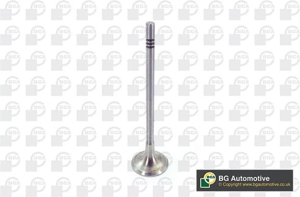 Exhaust Valve V200611