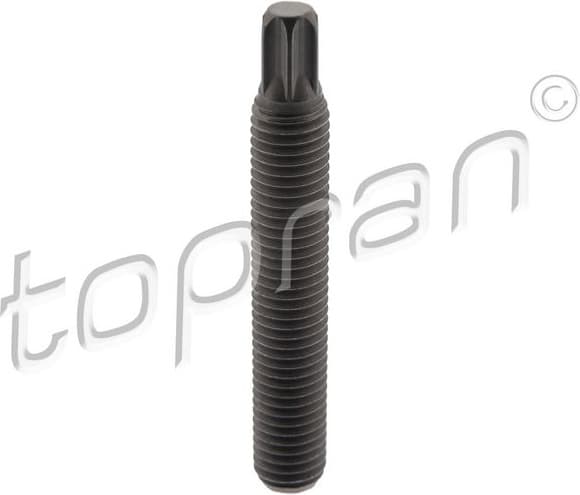 Bolt, exhaust manifold 504 343