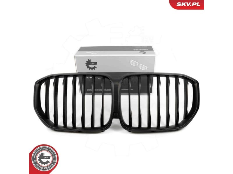 Radiator Grille 66SKV301