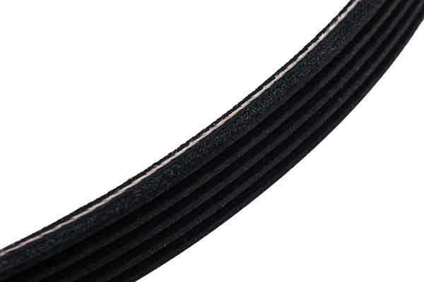 V-ribbed Belt 05-01515-SX - image 4