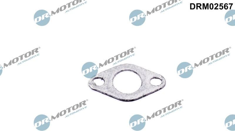 Gasket, secondary air valve DRM02567