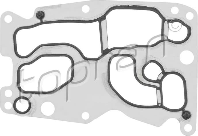 Gasket, oil cooler 503 779