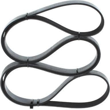 V-ribbed Belt 1 987 946 261 - image 5