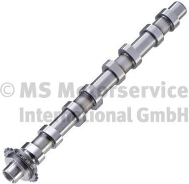 Camshaft 50056050