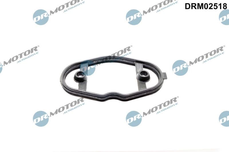 Gasket, fuel pump DRM02518