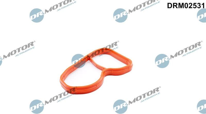 Gasket, intake manifold DRM02531