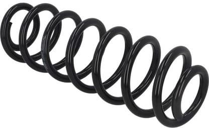 Coil spring 2120669