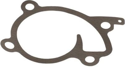 Water Pump, engine cooling 529202