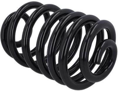 Suspension Spring 2120551