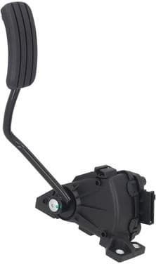 Accelerator Pedal 4200007