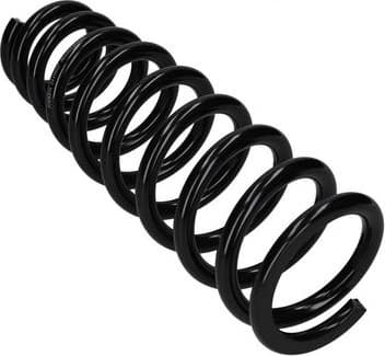 Suspension Spring 2110607
