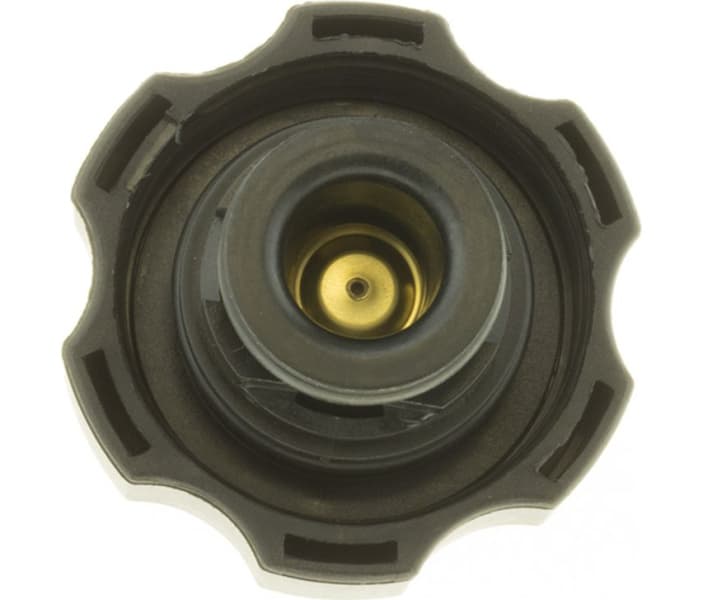 Cap, radiator T61 - image 5