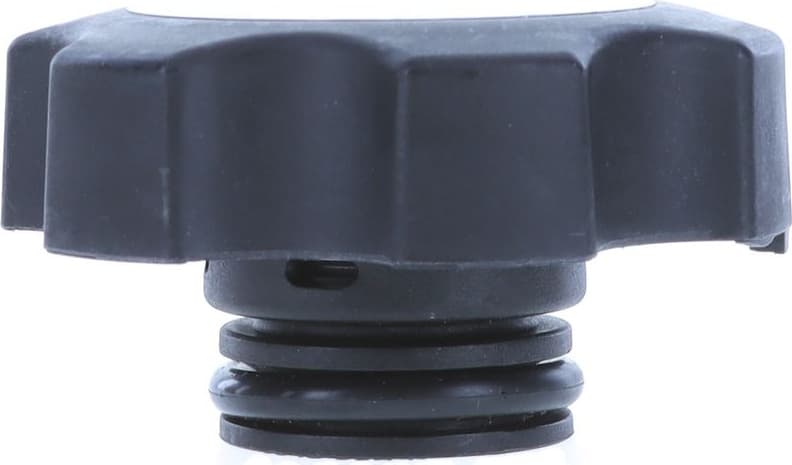 Cap, radiator T61 - image 6