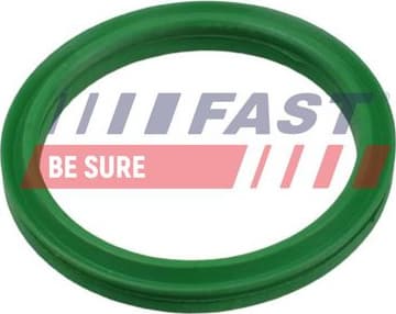 Seal Ring, charge air hose FT49936 - image 2