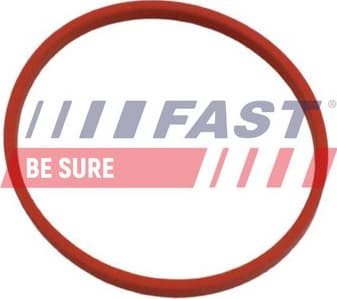 Shaft Seal, crankshaft FT49861