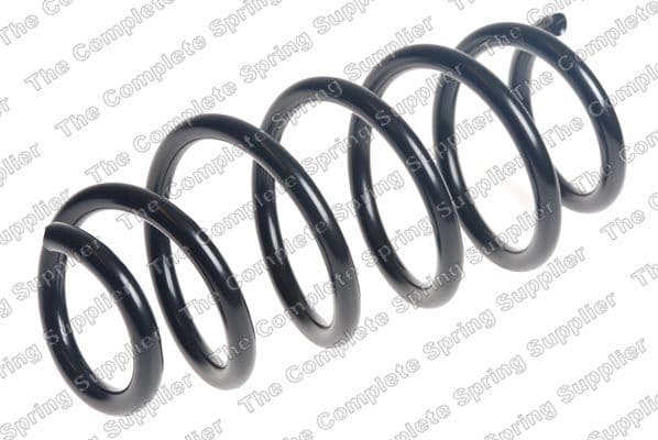 Suspension Spring 4217018
