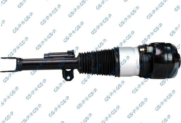 Air Suspension Strut 30900801
