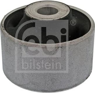 Mounting, control/trailing arm 10019