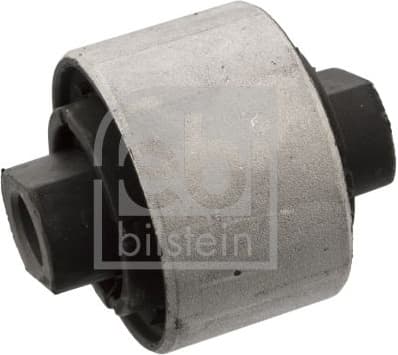 Mounting, control/trailing arm 10020