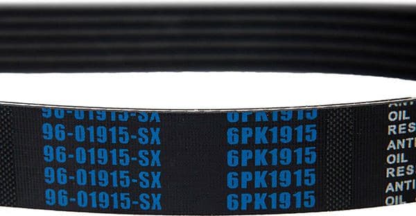 V-ribbed Belt 96-01915-SX - image 3