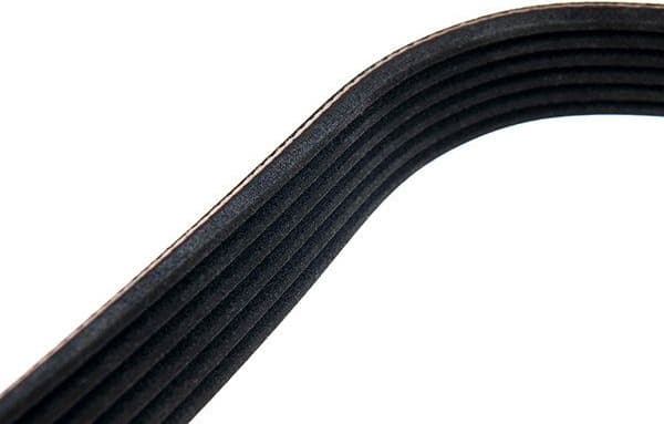 V-ribbed Belt 96-01915-SX - image 4