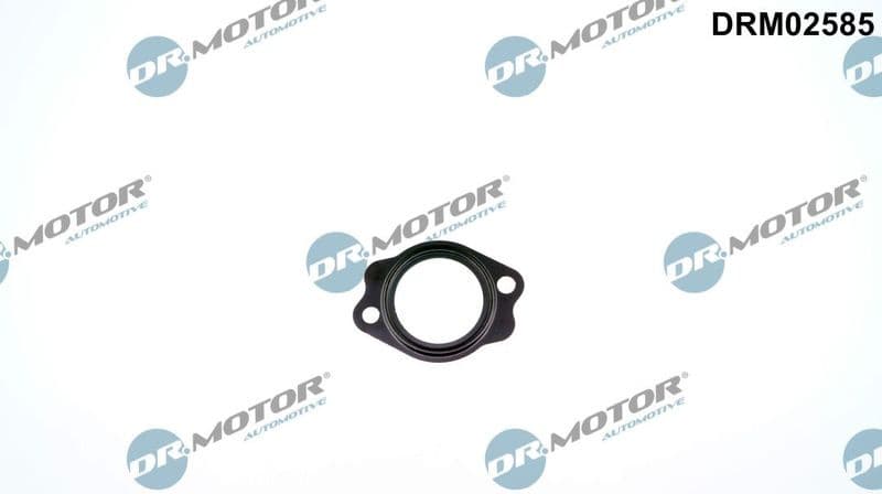 Gasket, coolant pipe DRM02585