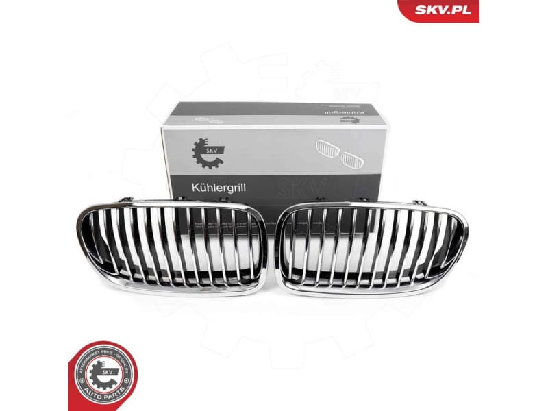 Radiator Grille 66SKV182