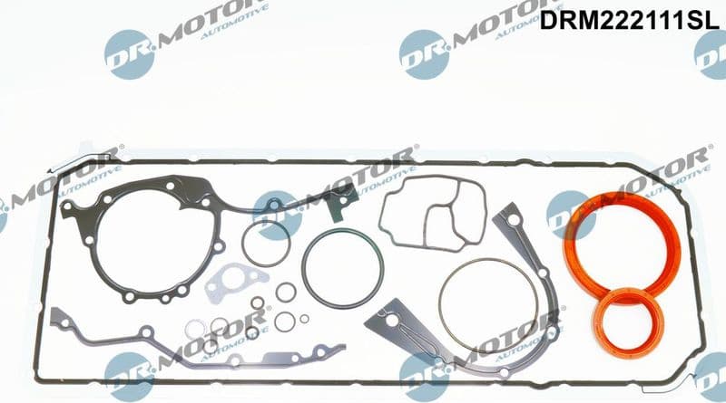 Gasket Kit, crankcase DRM222111SL