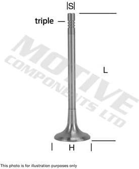 Exhaust Valve EV7980