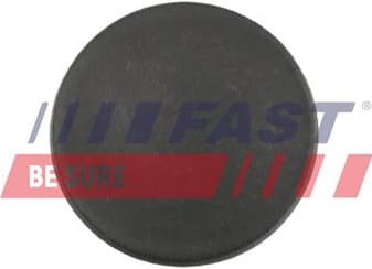 Interior Door Panel FT96904