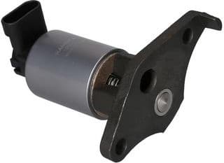 EGR Valve 19022
