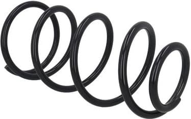 Suspension Spring 2110864 - image 3