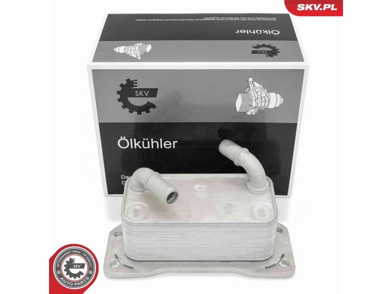 Oil Cooler, engine oil 31SKV341