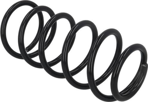 Suspension Spring 2120467 - image 3