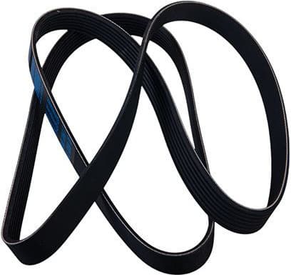 V-ribbed Belt 97-01955-SX