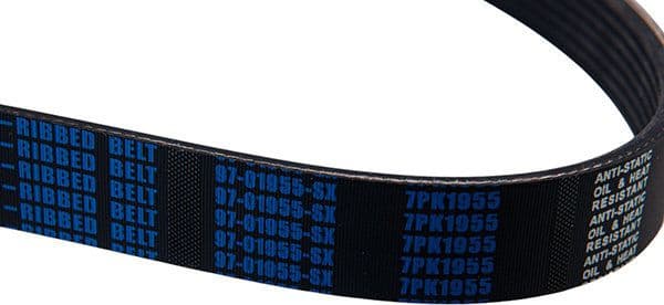 V-ribbed Belt 97-01955-SX - image 4