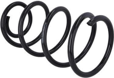 Suspension Spring 2110873