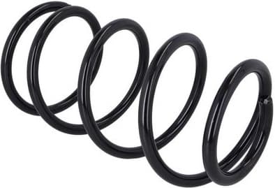 Suspension Spring 2110873 - image 3