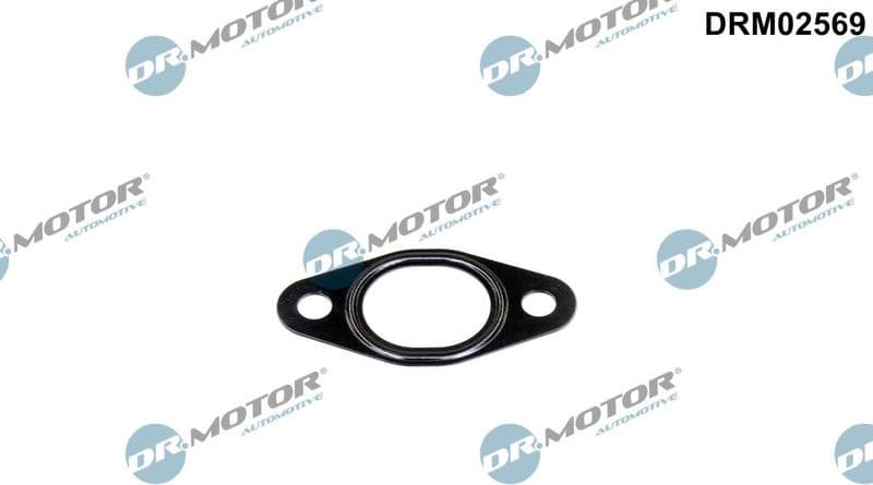 Gasket, EGR valve pipe DRM02569