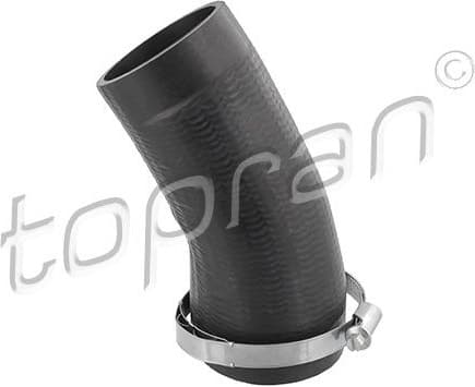 Charge Air Hose 118 221