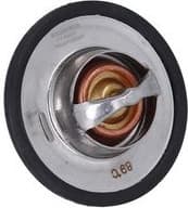 Thermostat, coolant 7710077