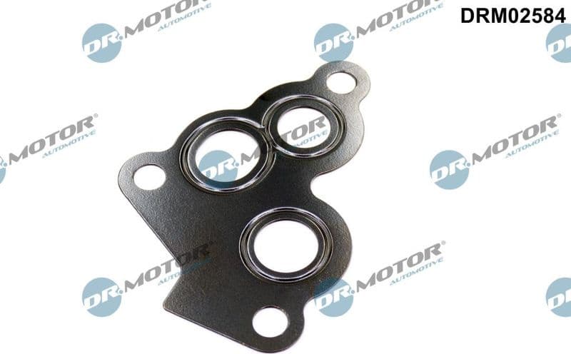 Gasket, oil filter housing DRM02584