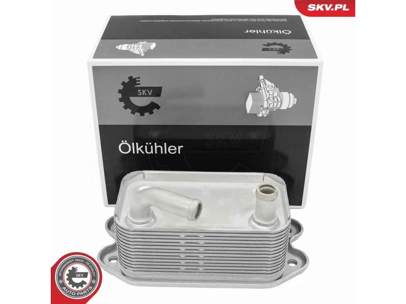 Oil Cooler, engine oil 31SKV302