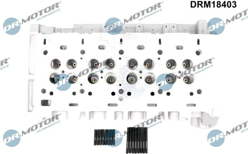 Cylinder Head DRM18403 - image 2