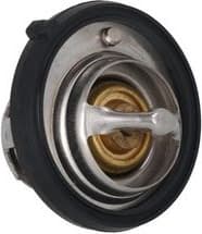 Thermostat, coolant 7710149