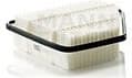 Air Filter C27013