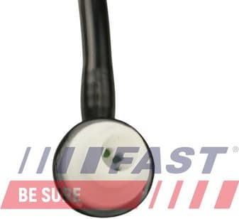 Vacuum Hose, brake booster FT33522 - image 4